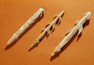 Prehistorie: harpoenen van rendiergewei gebruikt voor de visvangst. Vervaardigd tijdens het Magdalenien. 17000-11000 v.Chr. Saint-Germain-en-Laye, Museum voor Nationale Archeologie.