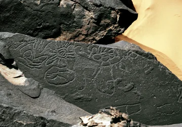 Prehistorie, rotstekeningen: grafrots met vormen in de stijl van Tazina