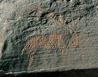 Prehistorie, rotstekeningen: grafrots met de voorstelling van een antilope. Steentijd 5000-2000 v.Chr. Taghit, Hoog plateau van de Hoggar (Ahaggar), Algerije
