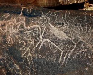 Prehistorie, rotstekeningen: grafrots met de voorstelling van vee. Tazina-stijl. Steentijd 5000-2000 v.Chr. Taghit, Hoog plateau van de Hoggar (Ahaggar), Algerije