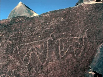 Prehistorie, rotstekeningen: grafrots met de voorstelling van vee. Tazina-stijl. Steentijd 5000-2000 v.Chr. Taghit, Hoog plateau van de Hoggar (Ahaggar), Algerije