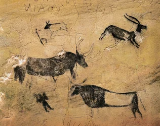 Rotskunst: hertachtigen en koeien. Uit Spanje, El Cogul, grot dels Moros. Prehistorie, mesolithicum
