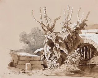 Studie van planten bij een sloot, met toevoegingen door een instructeur, 1856