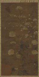 Magnolia