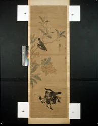 Vogels en tak