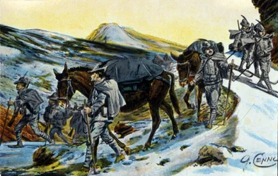 Eerste Wereldoorlog: groep Italiaanse Alpenjagers met hun muilezels in 1915 (illustratie door Quinto Cenni)