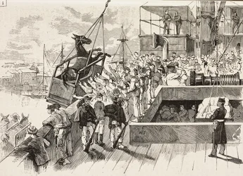 Muildier wordt op schip Principe Amedeo gehesen, Italiaanse expeditie in de Rode Zee, Italië, gravure naar een tekening van Quinto Cenni en schets van M Dal Don, uit L