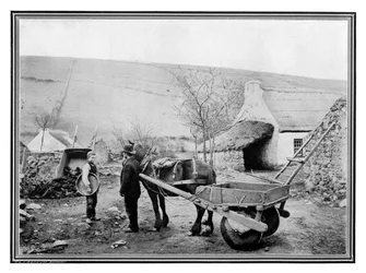 Oude Ierse lage rugkar, 1901