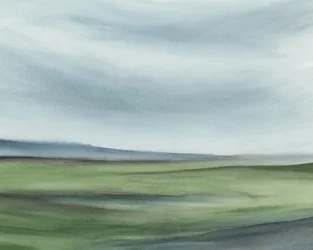 Rustig groen landschap