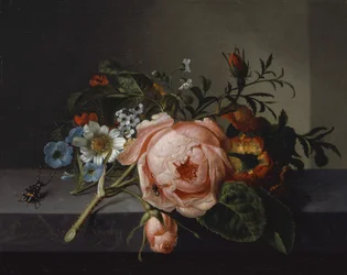 Stilleven met rozentak, kever en bij, 1741