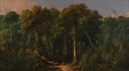 Javaanse jungle