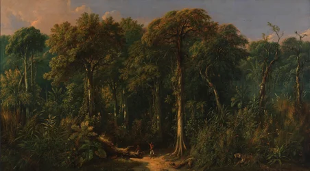 Javaanse Jungle
