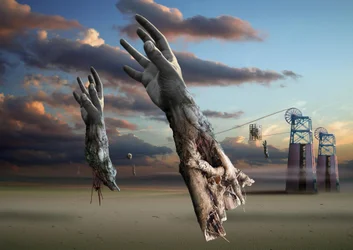 Surrealistische woestijnhanden