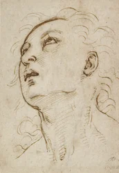 Hoofd van een jonge man die omhoog kijkt, ca. 1497-1504