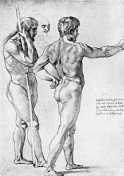 Twee studies van mannelijk naakt, 1515, 1912