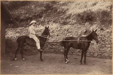 Kapitein H. S. Rawhinson (recto)