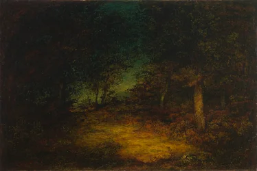 Bosinterieur