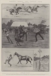 Barnet Paarden- en Vee Markt