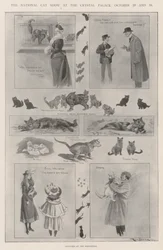 De Nationale Katten Show in het Crystal Palace, 29 en 30 oktober