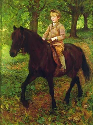 Door het Bos