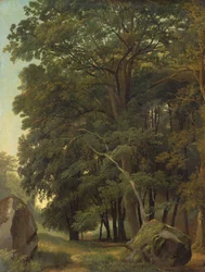 Een bebost landschap