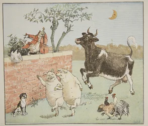 De kat en de viool, illustratie uit 