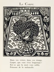 De karper, illustratie uit 