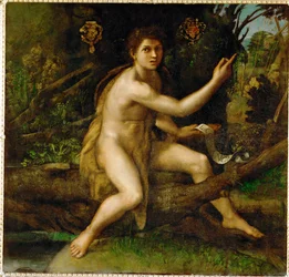 Johannes de Doper in de woestijn, met de boom die ...