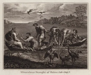 Raphael cartoon: Wonderbaarlijke visvangst, Lucas, Hoofdstuk V (gravure)