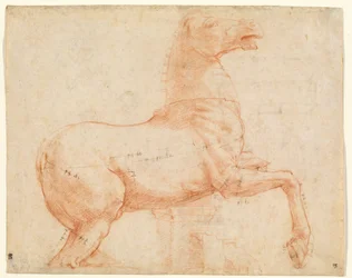 Een marmeren paard op de Quirinal Hill (recto), c.1513