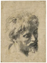 „Portret van een jonge apostel“ (Hoofd van een jonge apostel). Houtskool op papier van Rafaël (Raffaello Sanzio) (1483-1520). Privécollectie