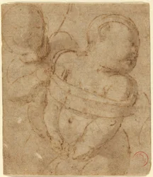Gebonden Cupido