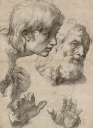 Studies van de hoofden van twee apostelen en hun handen, 16e eeuw