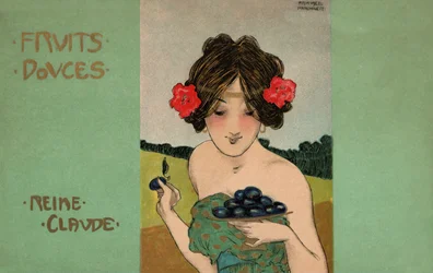 Greengages, ca.1900 (illustratie)