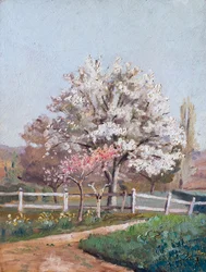 Kersenbloesems, c1930s (olieverf op hout)