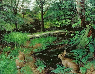In het bos - een midzomeravond (olieverf op board)