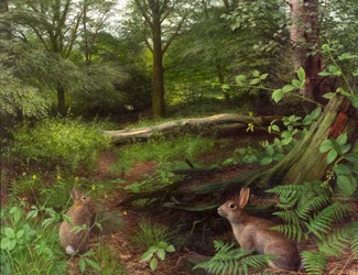 In het bos - een midzomeravond (13) (olieverf op board)