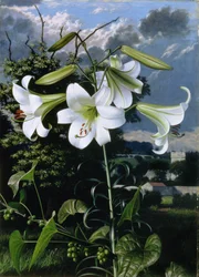 Lilium Smaragd, c.1959 (olieverf op board)