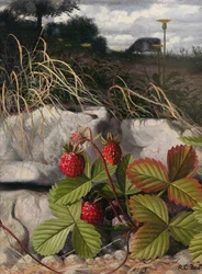 Aardbeien (olieverf op paneel)