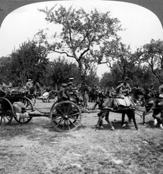 Paardgetrokken artillerie, Eerste Wereldoorlog, 1914-1918