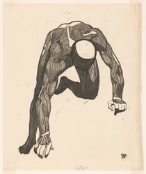 Anatomische studie van de hals-, arm- en beenspieren van een man