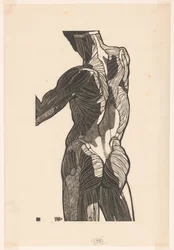 Anatomische studie van de rug- en bilspieren van een man