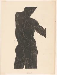 Anatomische studie van de rug- en bilspieren van een man in silhouet