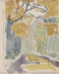 Bospad in de herfst