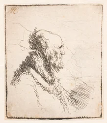 Kale oude man met een korte baard, profiel rechts