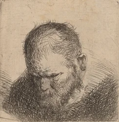 Bearded Man Looking Down, mogelijk 1631