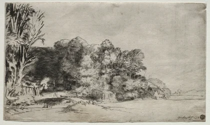 Boomgroep met een doorkijk, 1652