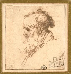 Hoofd van een bebaarde man in profiel naar links