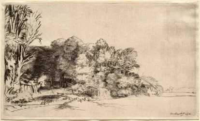Landschap met een groep bomen