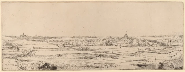 Landschap met uitzicht op Haarlem (Het veld van de goudweger)